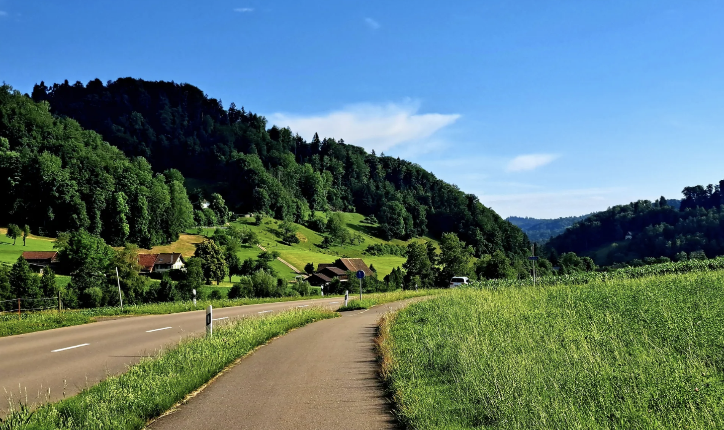 Quiet road climbing through green hills toward the Albis pass near Zurich