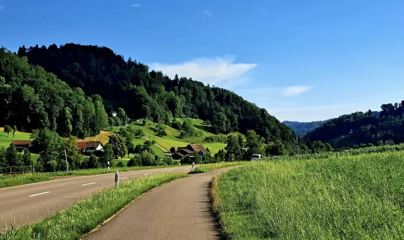 Quiet road climbing through green hills toward the Albis pass near Zurich